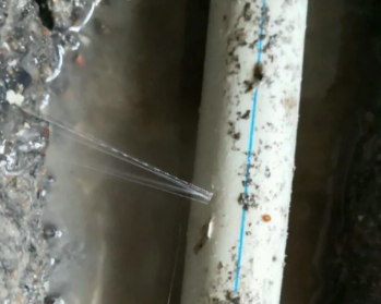临县卫生间测漏水多少钱